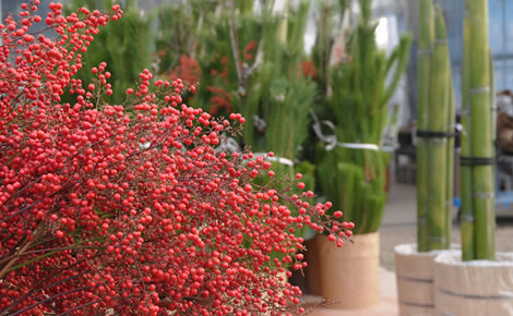 門松の作り方・南天を取り付けます